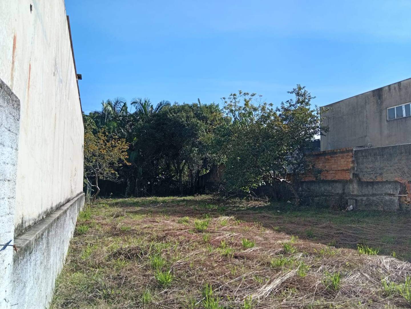 Oportunidade Estratégica: Terreno Comercial/Residencial de 944,30 m² no Centro de Criciúma